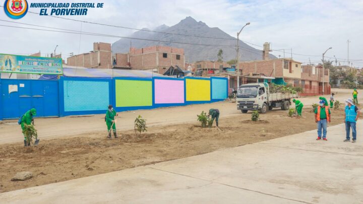 Por un Porvenir más verde | Habilitando áreas verdes en espacios públicos en Alto Trujillo barrio 3A.