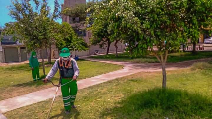 Areas Verdes | Nuestros colaboradores encargados del embelleciendo de parques y jardines de El Porvenir.
