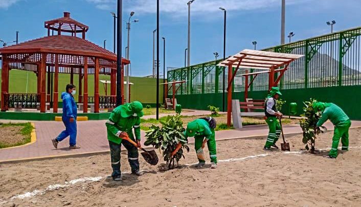 Areas Verdes | Nuestros colaboradores realizaron el sembrado de 35 arboles alrededor del Polideportivo sin Fronteras.