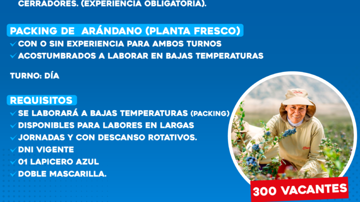 Bolsa de Trabajo | Danper necesita personal para el proceso de alcachofa y packing de arándano.