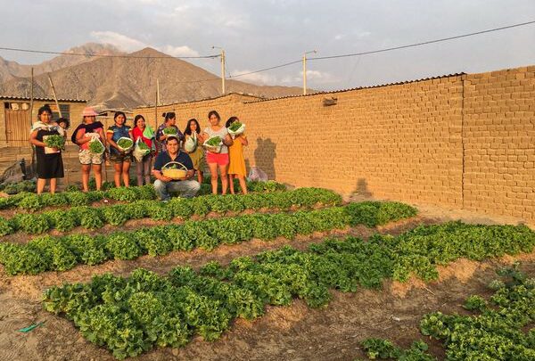 Proyecto BIOHUERTOS PRODUCTIVOS busca lograr Ollas Comunes Autosostenibles.