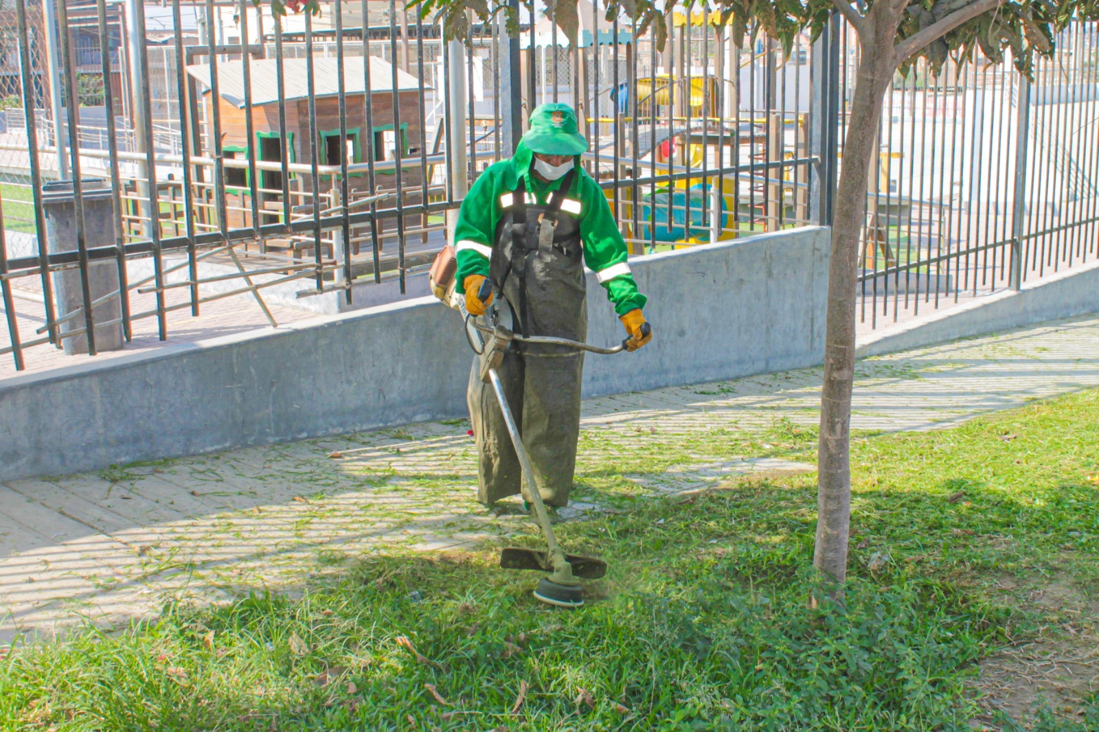 LIMPIEZA DE LAS ÁREAS VERDES EN NUESTRO DSITRITO - Municipalidad